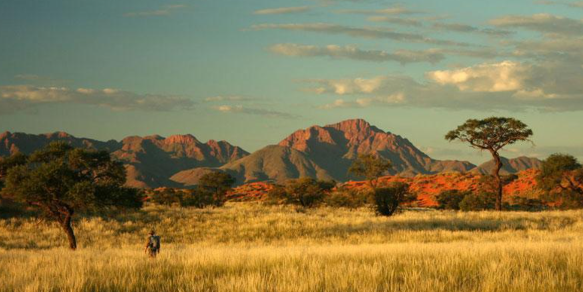 Namib-Naukluft National Park, Namib Desert, Erongo Region, Namibia